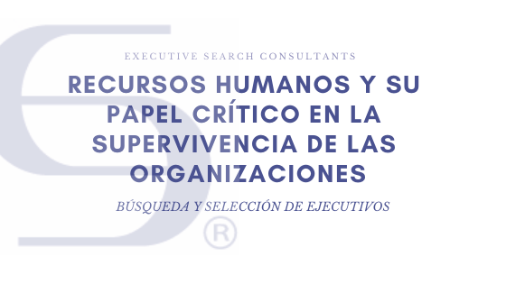 Cazatalentos, búsqueda y selección de ejecutivos 1108